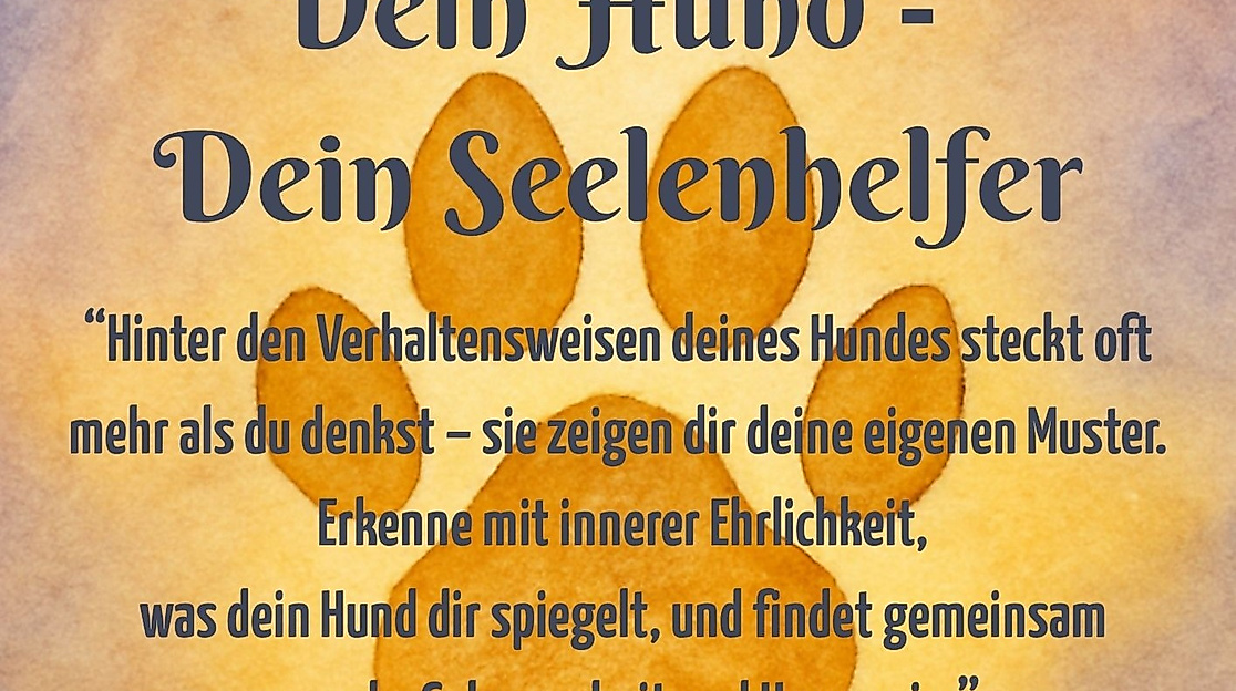 Hund 3zu2