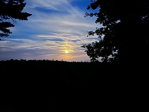 Vollmondwanderung auf dem Heidschnuckenweg - Borsteler Schweiz