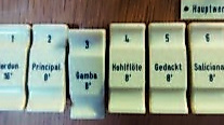 Gambe und Hauptwerk