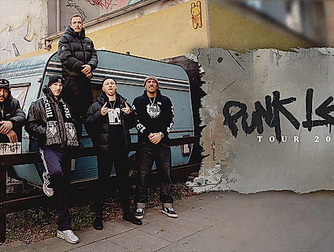 Swiss & Die Andern - Punk lebt Tour 2026