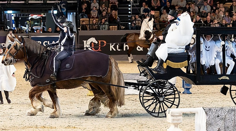 VR CLASSICS Donnerstag Tagesveranstaltung