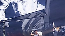 Stahltier