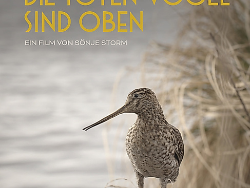 poster-die-toten-voegel-sind-oben-2023-04-din-a13mm-min