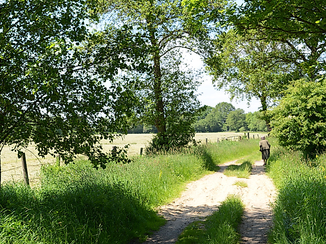 NSG Stapelfelder Moor