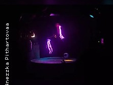 Essay on Light