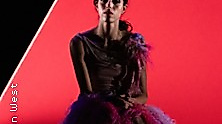 Ballett - Die Möwe