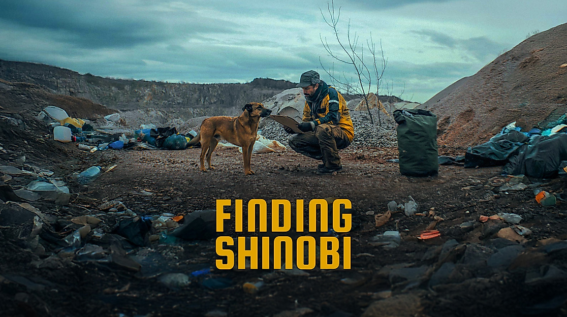 Finding Shinobi Official