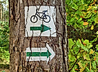 radweg_c-pixabay-erwin66as