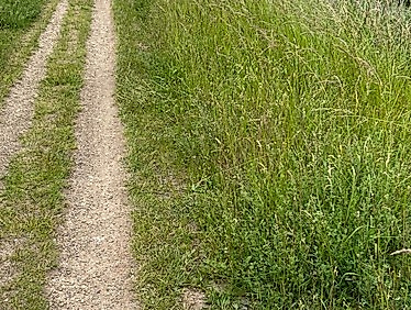 Es war einmal... Ein märchenhafter Pilgerspaziergang