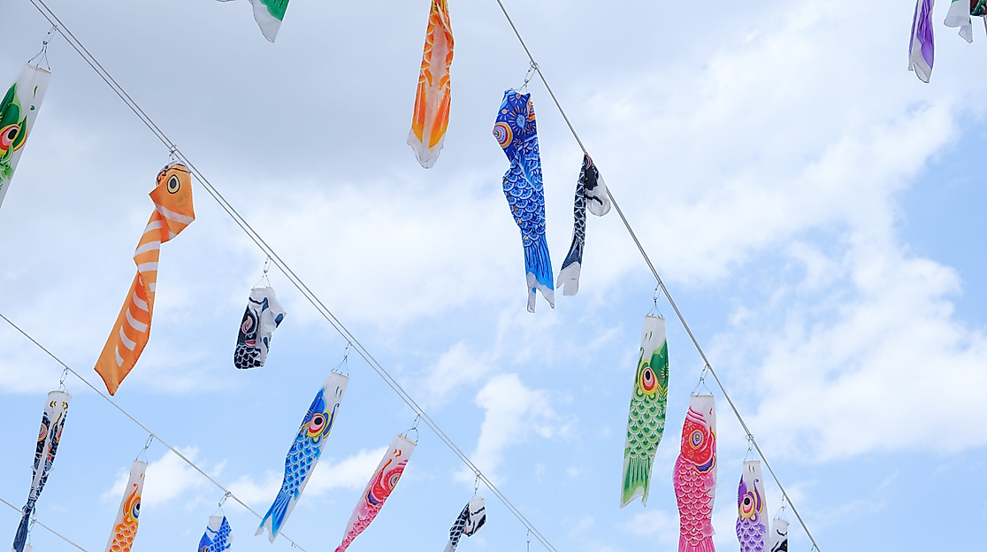 Deutsch-Japanische Gesellschaft zu Hamburg e.V.