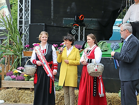 Marner Stadtfest im Rahmen der Dithmarscher Kohltage