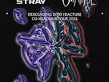 Elwood Stray & Our Mirage - Co-Headline Tour 2026