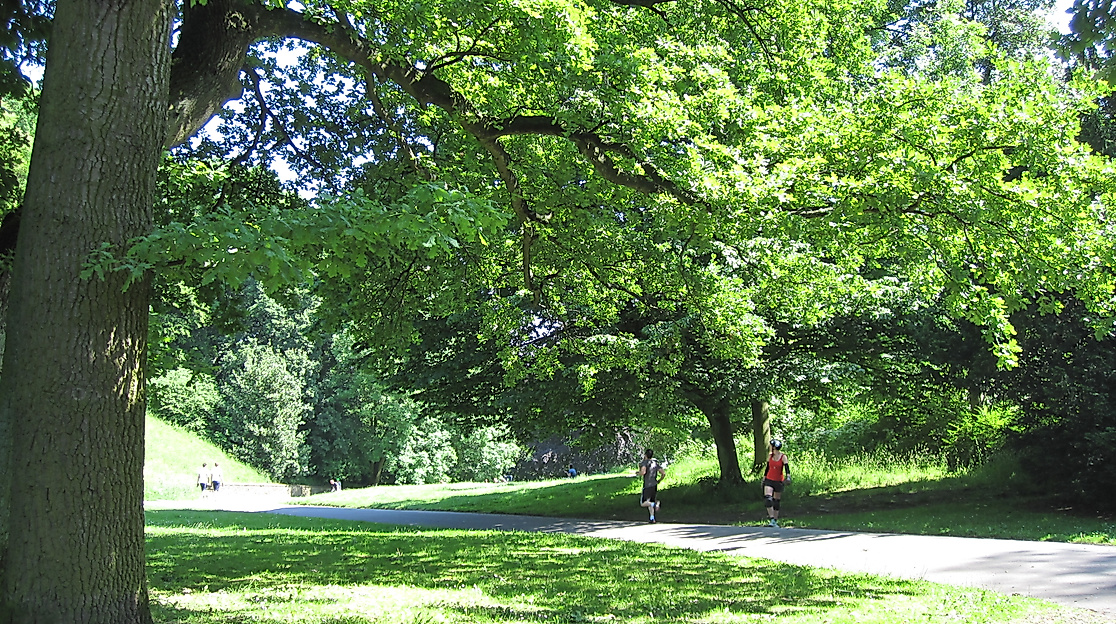 donnerspark_c-vera-mueller_01