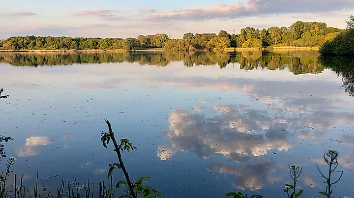 Wandsbeker Hausrunde