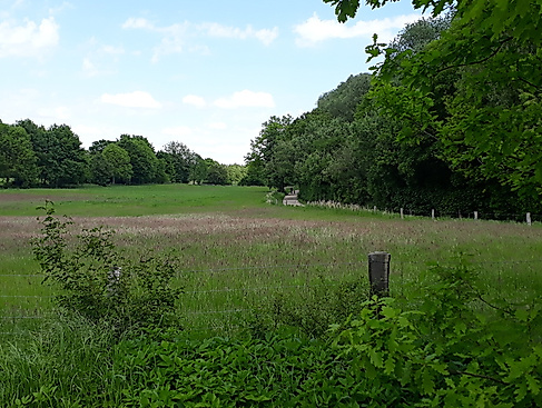 Ins Eiscafè nach Bargteheide