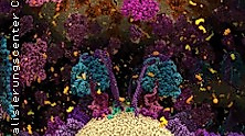 Die Chemie des Lebens - Das Unsichtbare in uns 3D