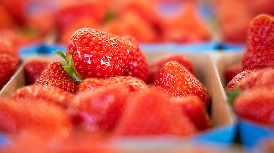 Wochenmarkt Erdbeeren