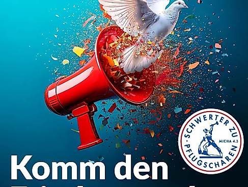 Taube fliegt