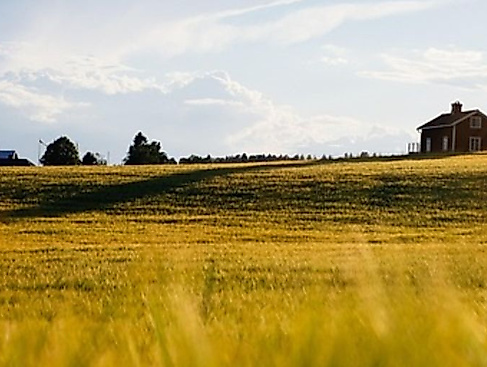Gottesdienst für die Region mit dem Gospelchor