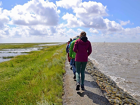 Auf dem Trischendamm durch das Weltnaturerbe Wattenmeer
