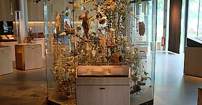 ausstellung-science-center-wald-c-sdw-hamburg-web-2500x1500