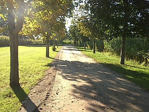 Dieses Jahr wieder nach Lüneburg