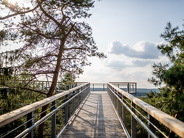 Baumwipfelpfad Heide Himmel