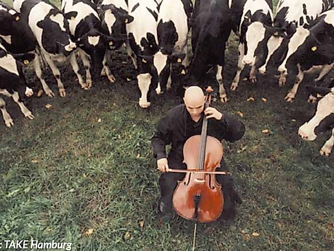 Pure Liebe, Cello Konzert