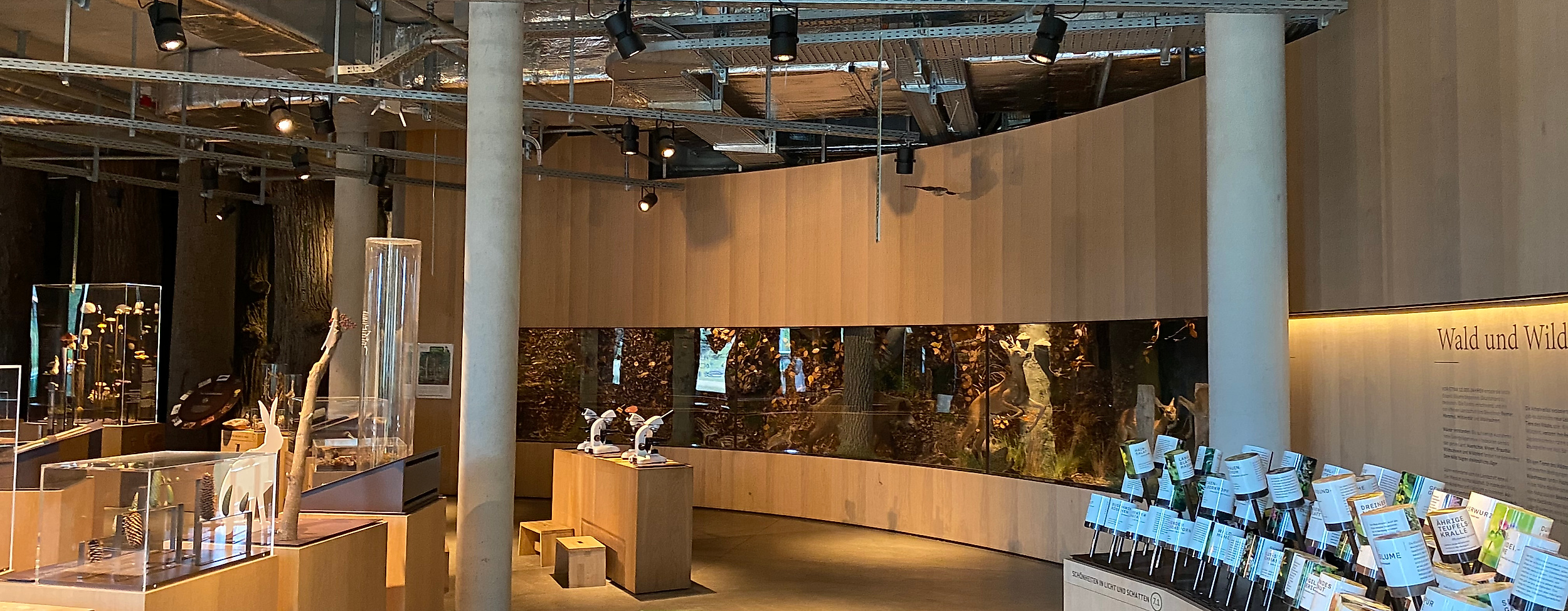 Science Center im Wälderhaus