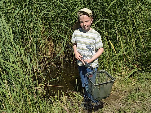 Kinder-Uni: Die Welt der Insekten